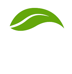 1971 Capital